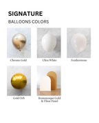 Signature 2 Large Panel Set