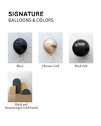 Signature 4 Panel Set