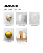 Signature 3 Panel Set