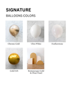 Signature 4 Panel Set