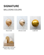 Signature 4 Panel Set